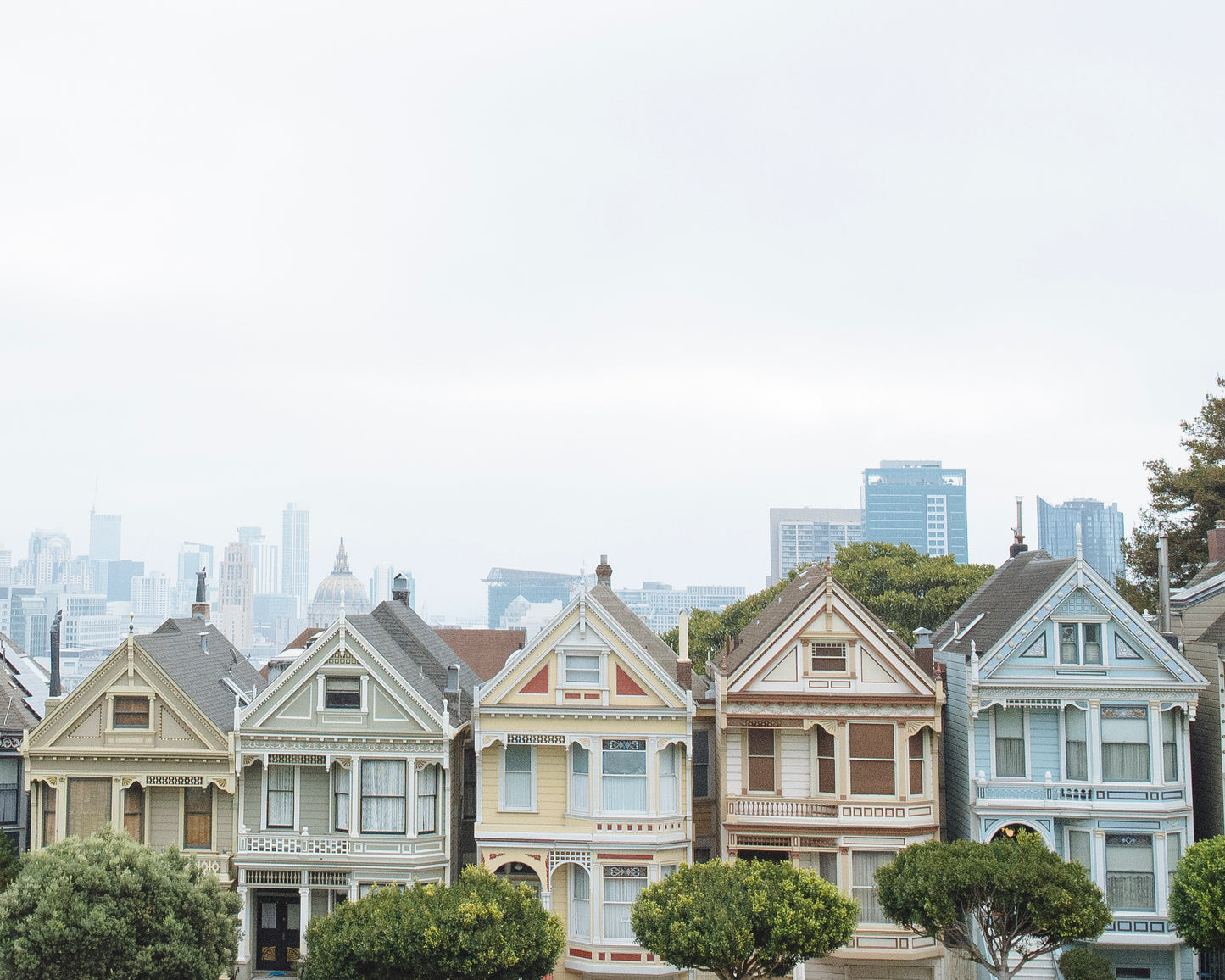 Painted Ladies